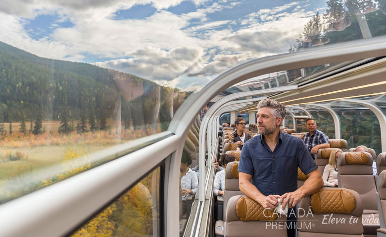tour tren gold leaf canada
