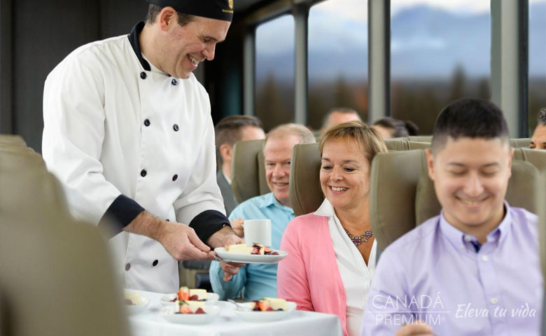 tour tren silver leaf canada